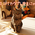 100222-【猫アニメ】にゃんこの日にゃ！