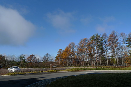 P1000426