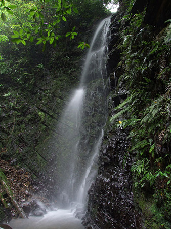 八間滝　2011.6.12