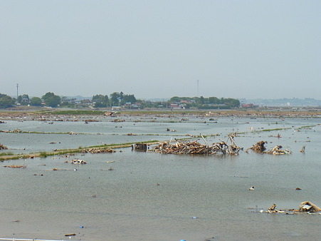 R0014253