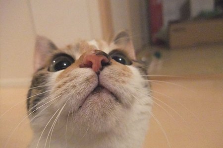 2010020601