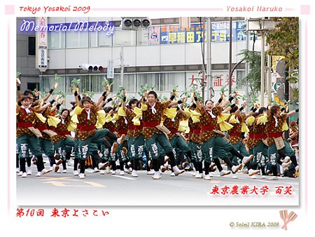 東京農業大学よさこいソーラン同好会 百笑 - 第10回 東京よさこい