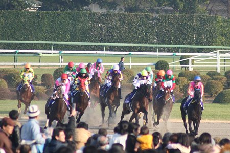 坂路上がって激走