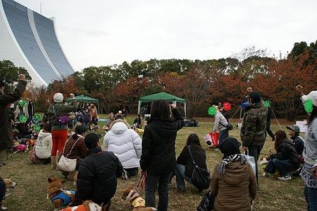 DSC03888