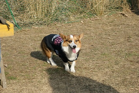 DSC04678