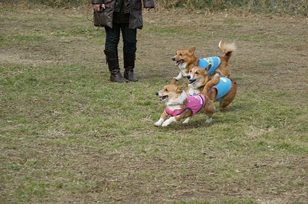 DSC04701