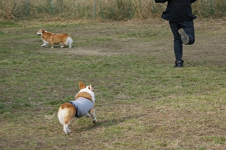 DSC04726