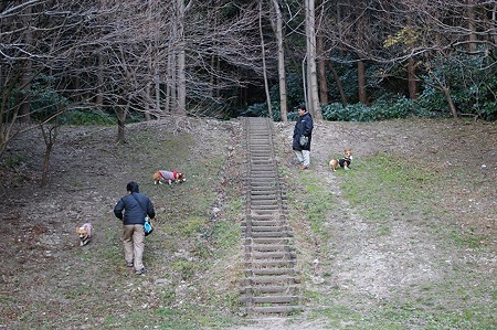 DSC05008