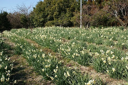 DSC05301