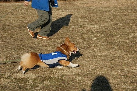 DSC05341