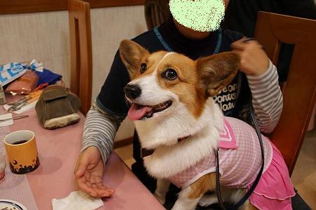 DSC05257