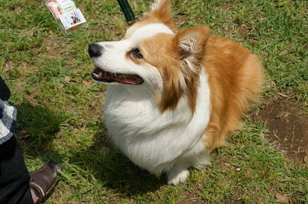 DSC00764