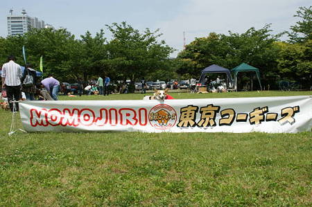 DSC00821