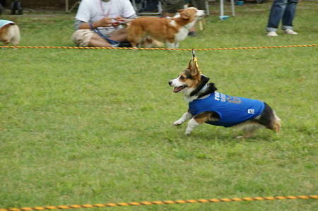 DSC00865