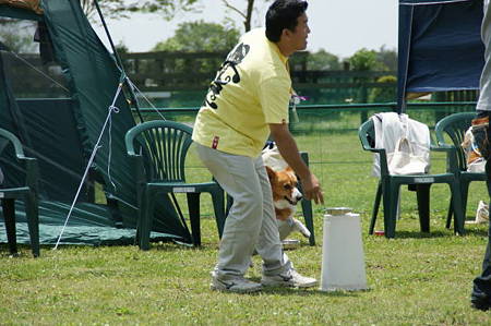 DSC01211