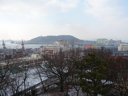 P1020706 P1020706