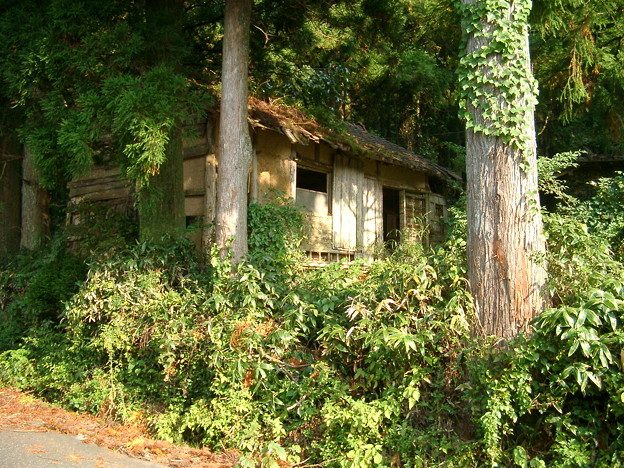 日本の風景・朽ちた小屋