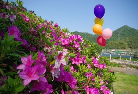 IMGP0641_0505