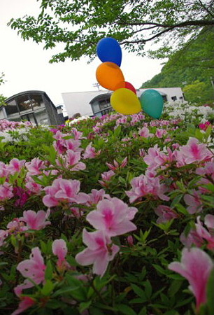 IMGP0897_0506
