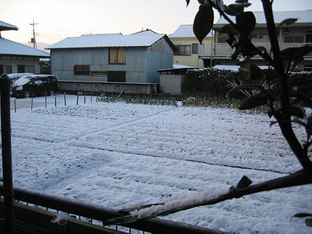 yuki1
