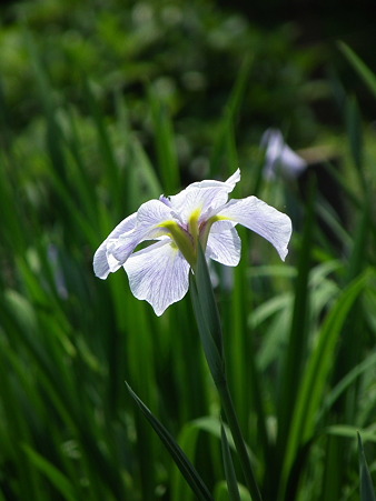 DSCF0106