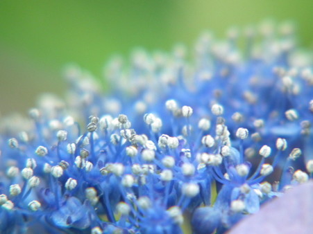DSCF0336