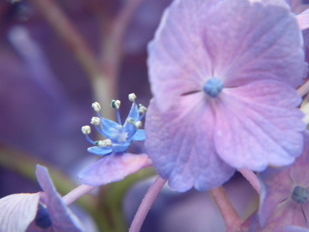 DSCF0198