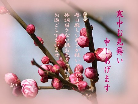 寒中1
