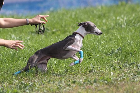 IMG_7875