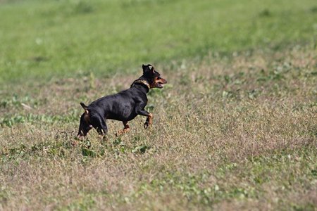 IMG_8304
