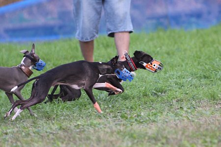 IMG_8512