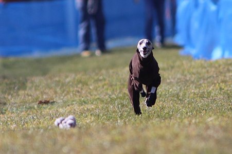 IMG_9562