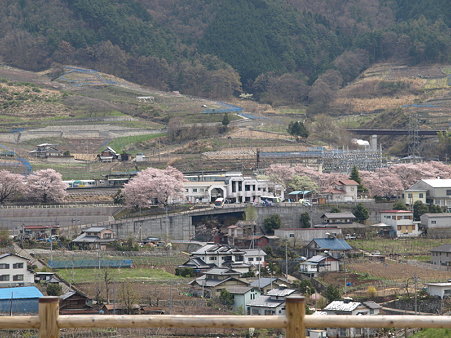 ぶどうの丘から駅を見て(勝沼ぶどう郷駅付近)3