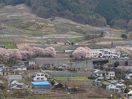 ぶどうの丘から駅を見て(勝沼ぶどう郷駅付近)4