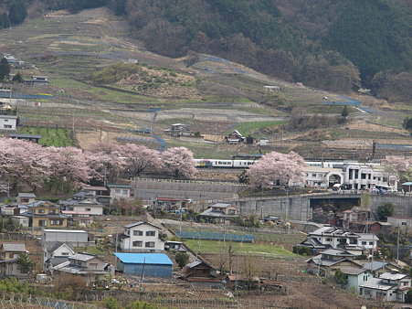 ぶどうの丘から駅を見て(勝沼ぶどう郷駅付近)5