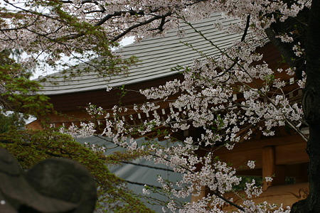 春の日に…