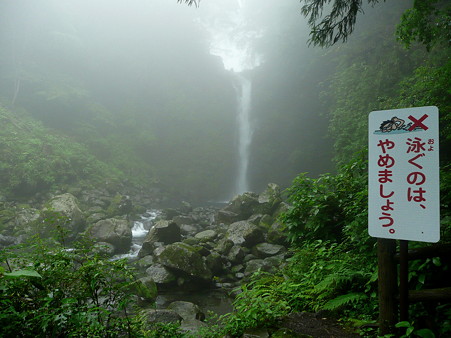 大棚の滝