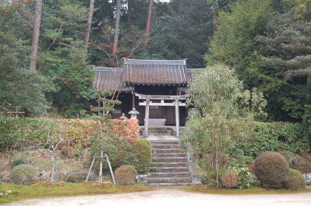 奈良 円照寺DSC_0909