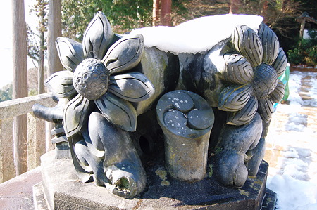 2011年01月09日_DSC_0101