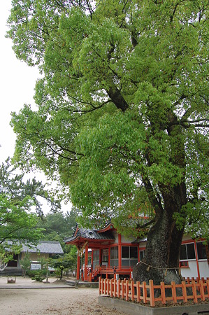 2011年05月03日_DSC_0448