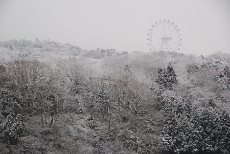 足柄SAにて