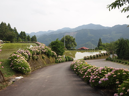 北郷 椎野
