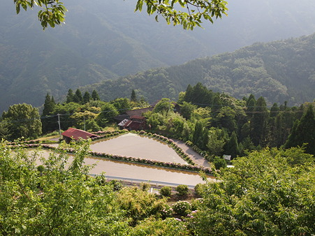 北郷 椎野