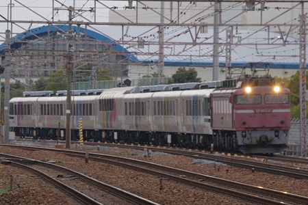 IMGP8460