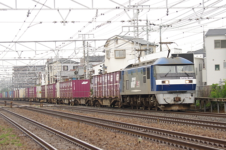 IMGP1343