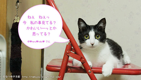 セリフ