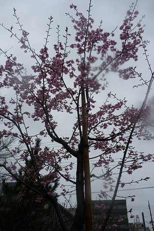 P1010472