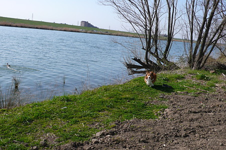 P1030092
