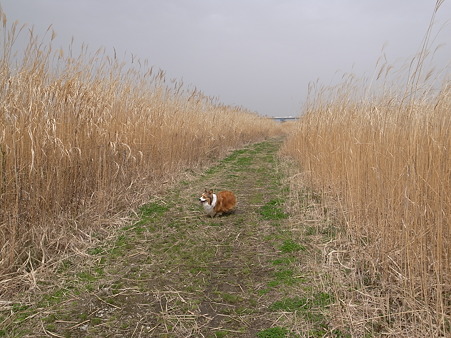 R0010115