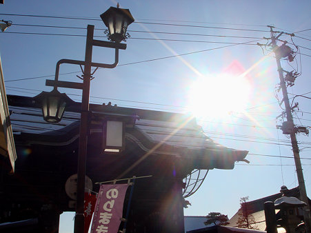 DSC09985のコピー
